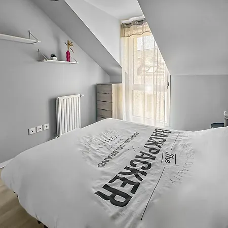 Confort Et Commodite A Appartement Torcy (Seine-et-Marne)